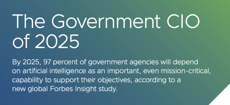The Government CIO of 2025